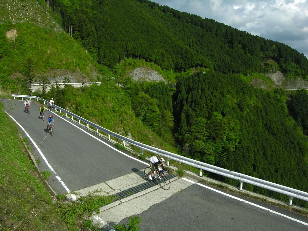 d0133127_186734.jpg