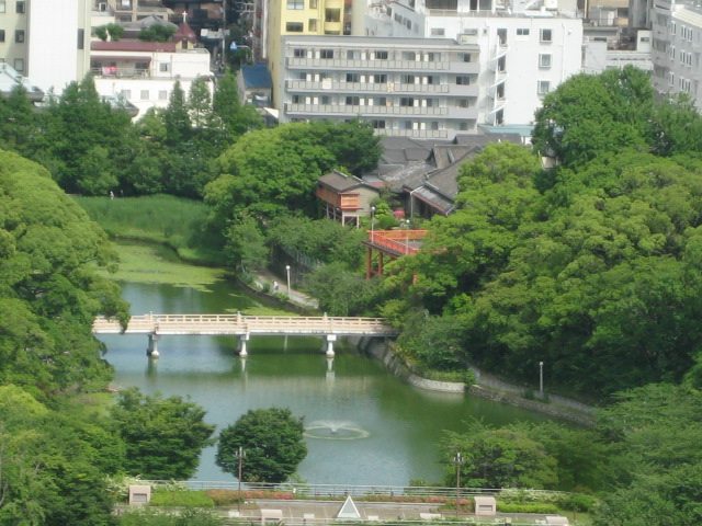 d0147727_20544722.jpg