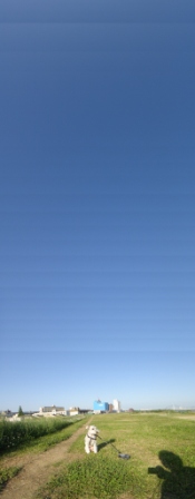 f0088231_15413551.jpg