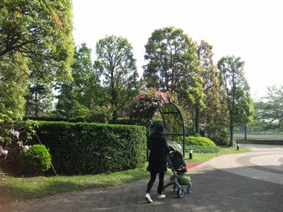 c0177332_20225473.jpg
