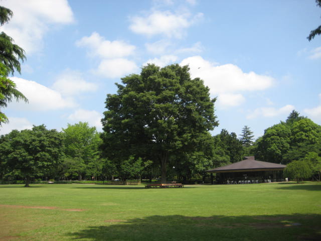 e0166032_20411337.jpg