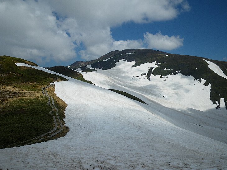 f0118332_2353234.jpg