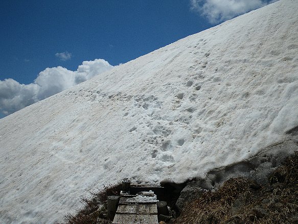 f0118332_23551577.jpg