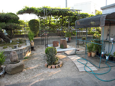 f0224732_18210.jpg