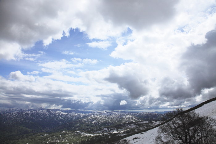 c0189533_2165246.jpg