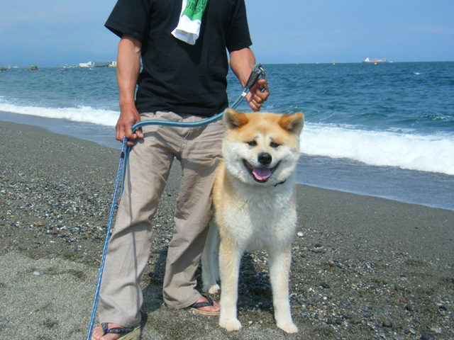 f0008935_15103163.jpg