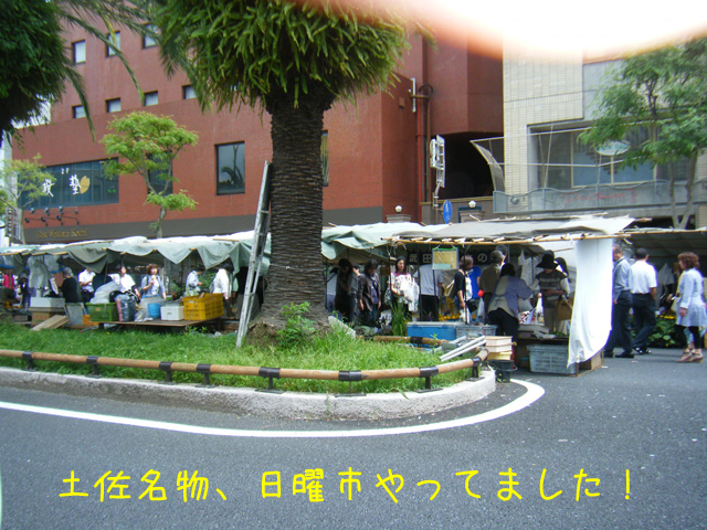 f0008935_157537.jpg