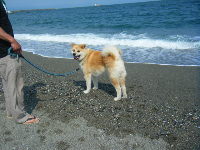 f0008935_1591796.jpg