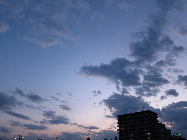 d0156438_12523652.jpg