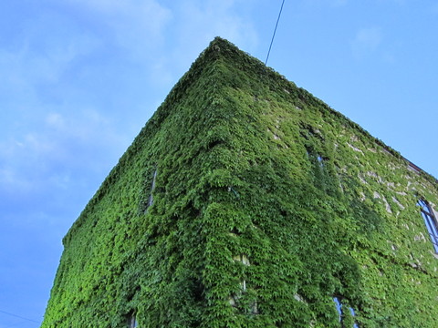 d0156438_12535425.jpg
