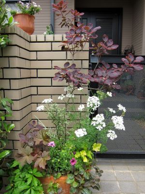b0178339_18375215.jpg
