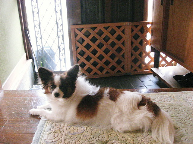 a0149240_920777.jpg