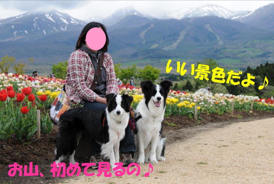 c0147241_22492598.jpg