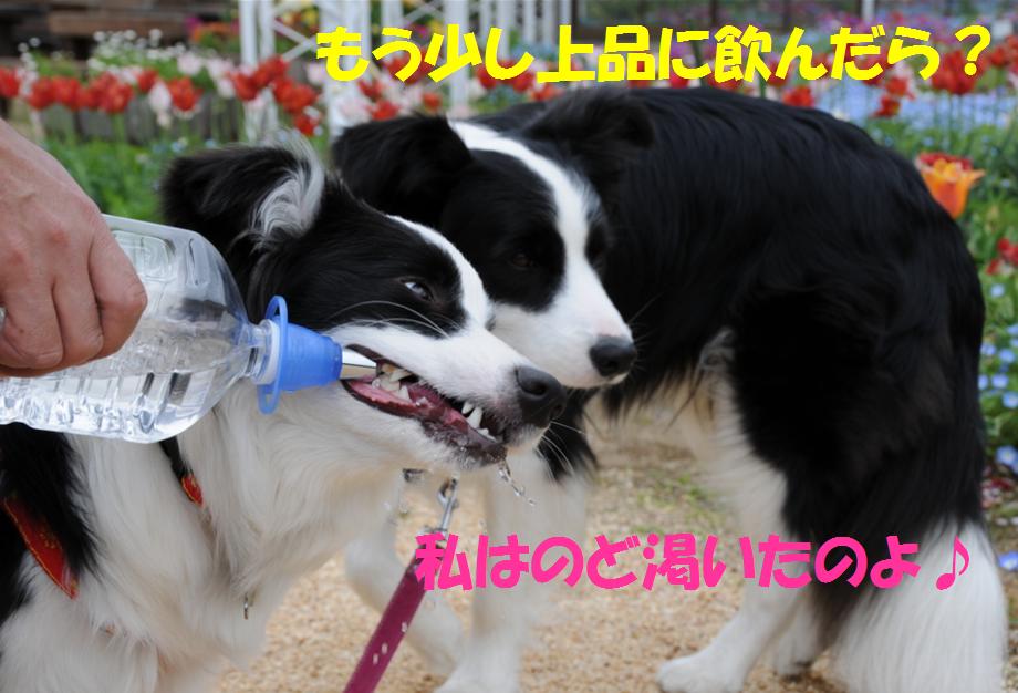 c0147241_22511829.jpg
