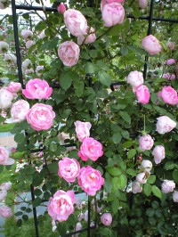 e0163044_13221517.jpg