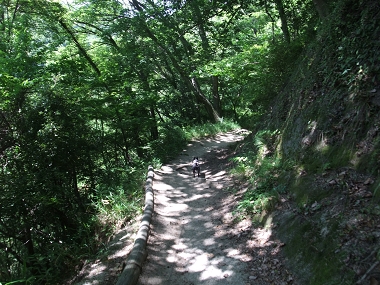 e0126046_22591527.jpg