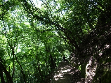 e0126046_23234031.jpg