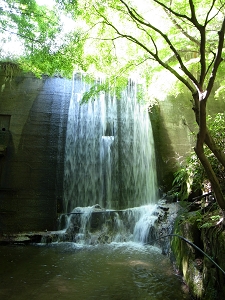 e0126046_2324218.jpg