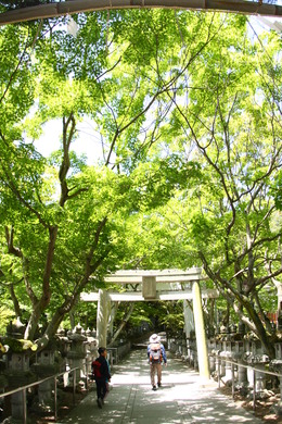 f0039446_1755247.jpg