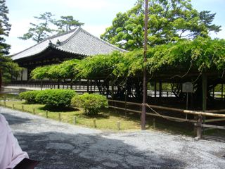 f0150047_2091455.jpg