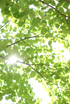 f0205148_7502026.jpg
