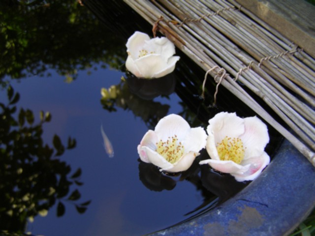 f0043750_2157091.jpg