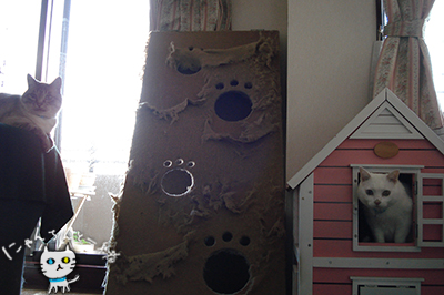 e0031853_1238404.jpg