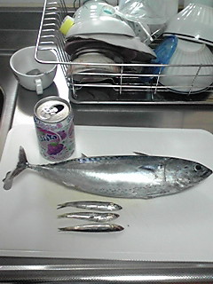 f0077058_225449.jpg