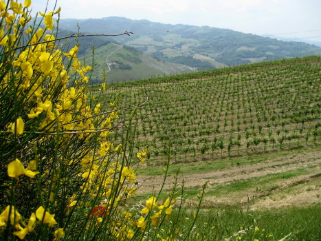 f0077159_22554866.jpg