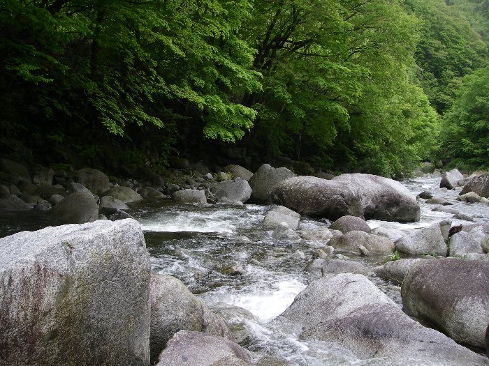 c0214764_21241338.jpg