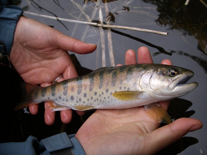 c0214764_2129282.jpg