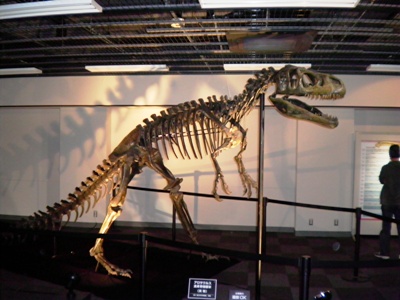 e0197164_1041938.jpg