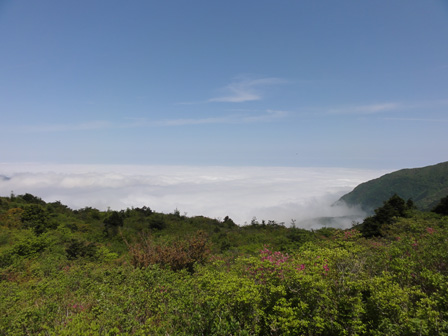 e0197164_14411213.jpg