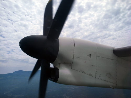 c0048265_2335995.jpg