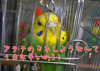 f0196665_23585027.jpg