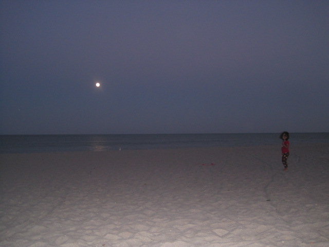 f0132366_15381439.jpg