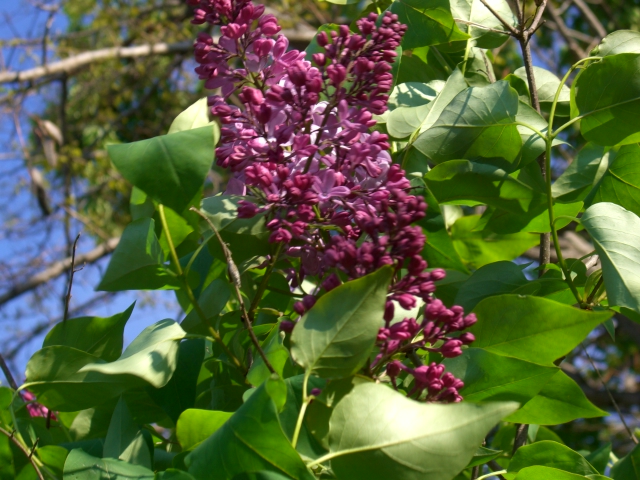 f0170866_22445632.jpg