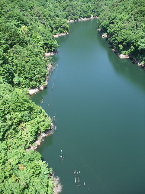 e0045768_2118346.jpg