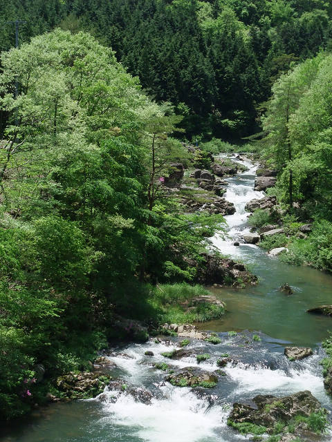 e0045768_21231348.jpg