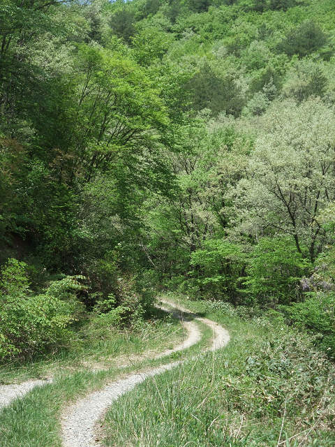 e0045768_21264013.jpg