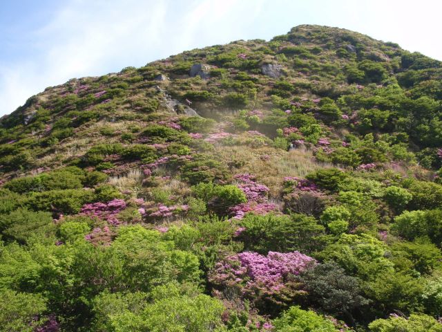 c0042869_713420.jpg
