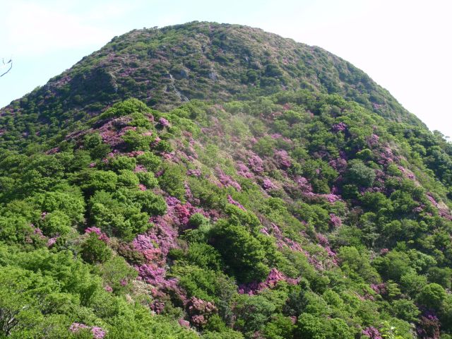 c0042869_714115.jpg