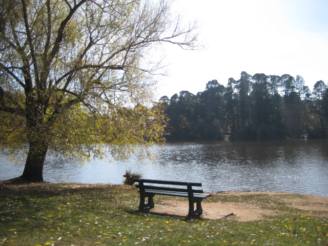 f0209769_11331133.jpg