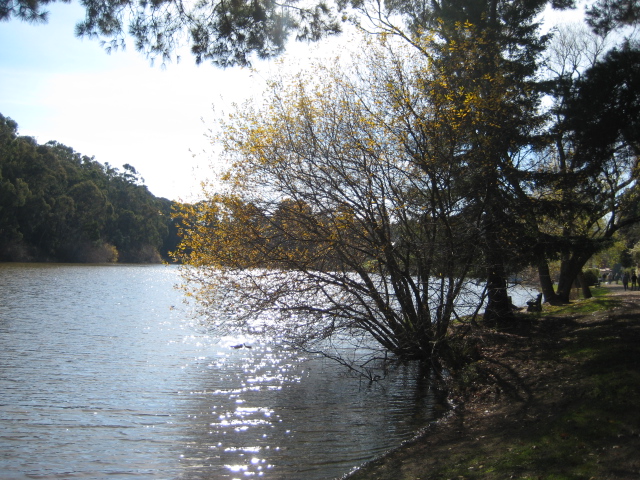 f0209769_11343284.jpg