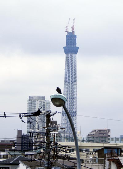 e0164571_13264973.jpg
