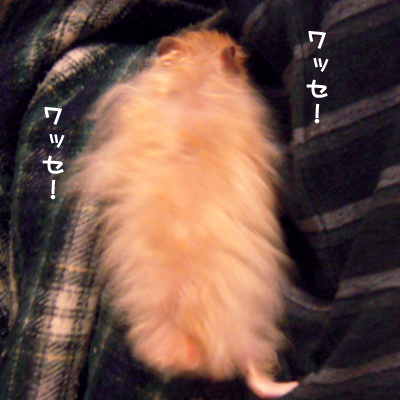 c0160473_13274397.jpg