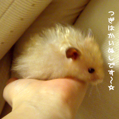 c0160473_13283468.jpg