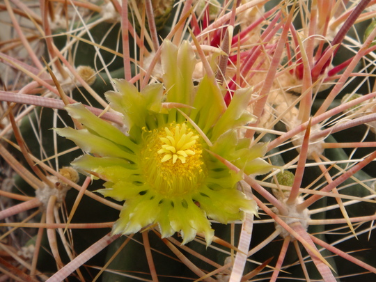 f0231573_21211310.jpg