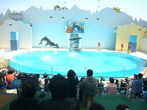 f0128475_14485933.jpg