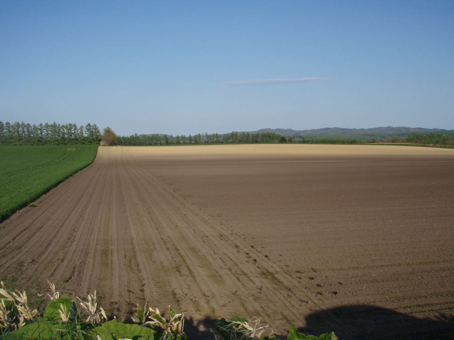 a0169776_19275718.jpg